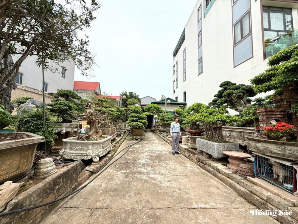 Nghệ nhân Vũ Tấn Phúc: Người gửi hồn vào cây với hơn 18 năm tâm huyết tạo tác