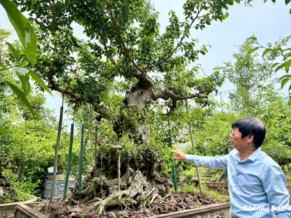 Nghệ nhân Vũ Tấn Phúc: Người gửi hồn vào cây với hơn 18 năm tâm huyết tạo tác
