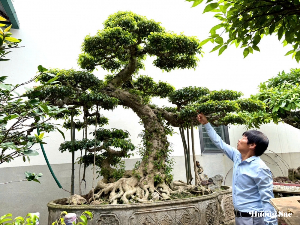 Nghệ nhân Vũ Tấn Phúc: Người gửi hồn vào cây với hơn 18 năm tâm huyết tạo tác
