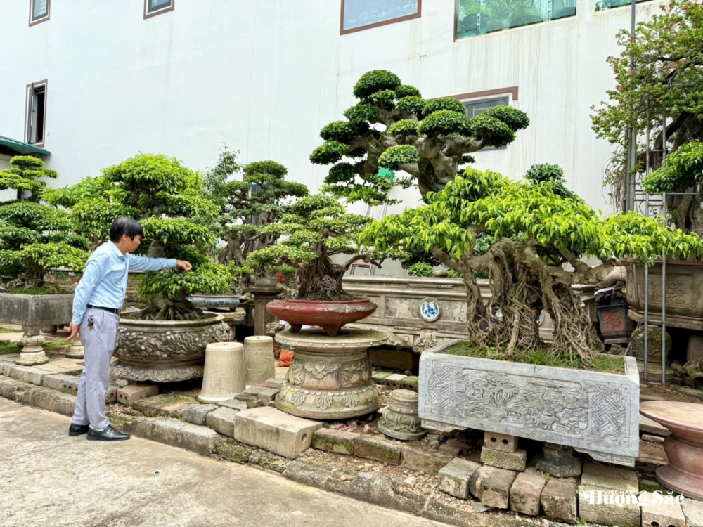 Nghệ nhân Vũ Tấn Phúc: Người gửi hồn vào cây với hơn 18 năm tâm huyết tạo tác