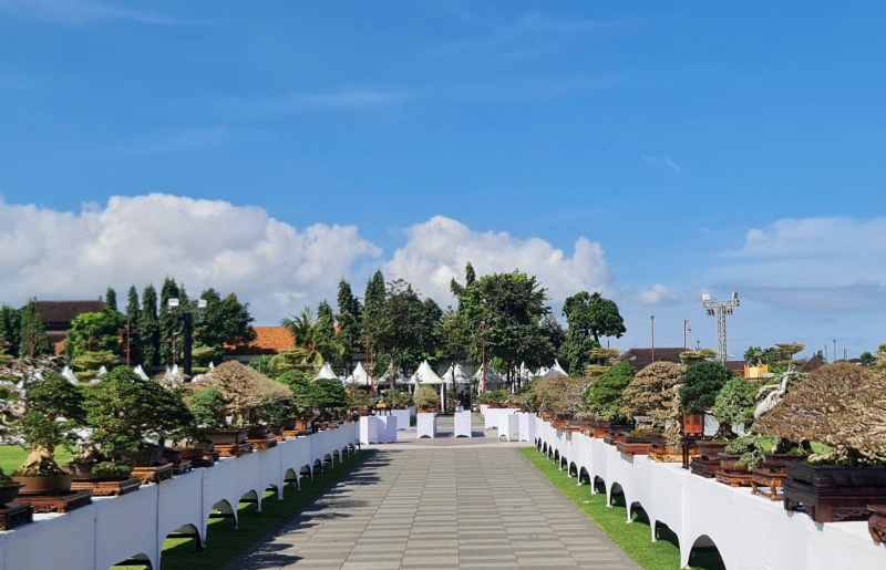 Việt Nam tham dự Hội nghị Bonsai và Suiseki châu Á - Thái Bình Dương lần thứ 17 tại Indonesia