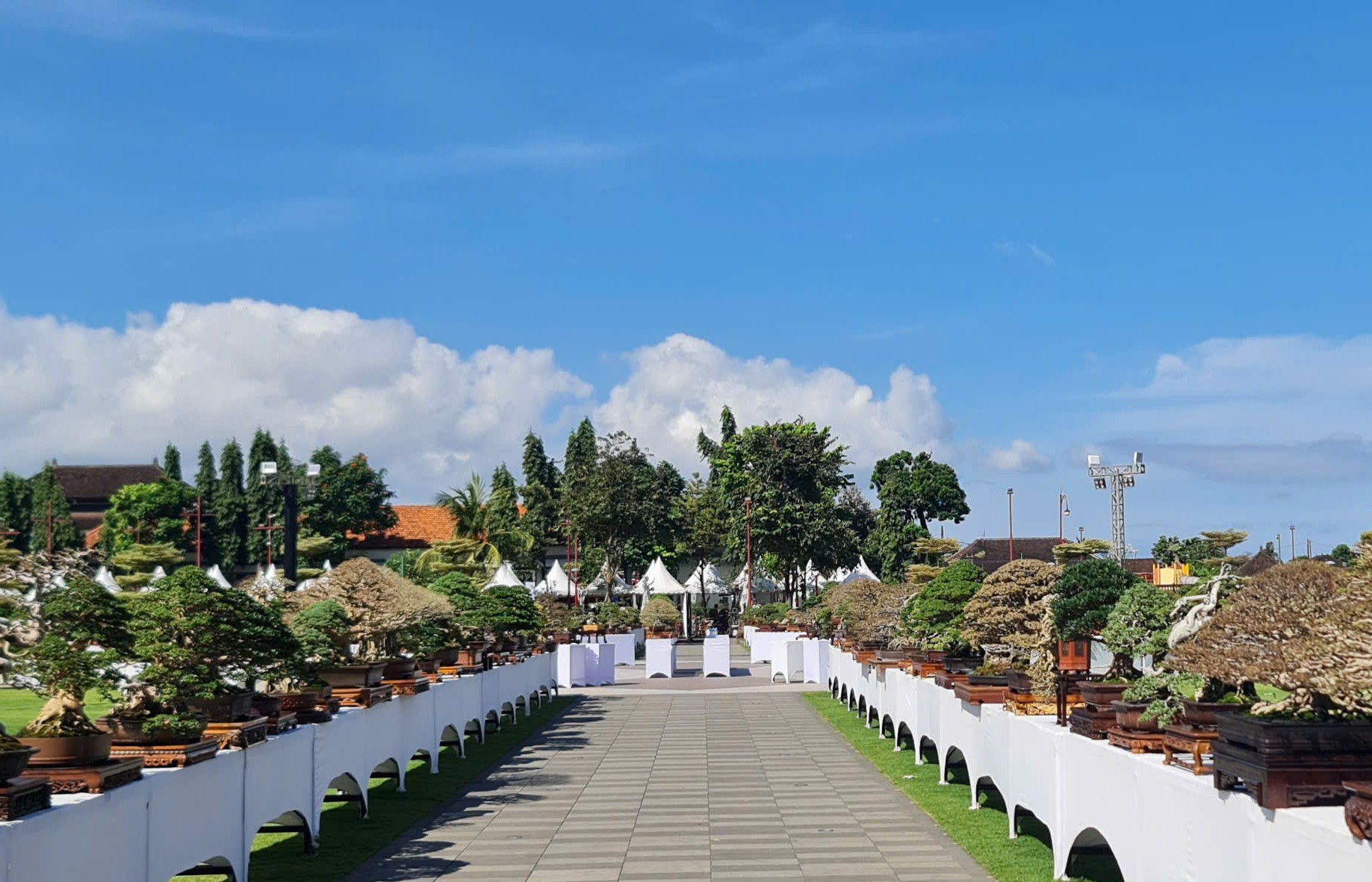 Việt Nam tham dự Hội nghị Bonsai và Suiseki châu Á - Thái Bình Dương lần thứ 17 tại Indonesia