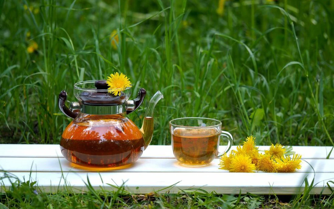 Bất ngờ với loài cây được Mỹ bình chọn  loại rau củ, trái cây tốt nhất thế giới, ở Việt Nam mọc như cỏ dại