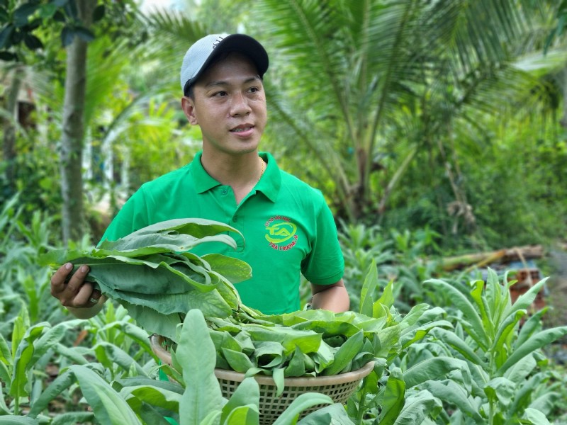 Bất ngờ với loài cây được Mỹ bình chọn "loại rau củ, trái cây tốt nhất thế giới", ở Việt Nam mọc như cỏ dại