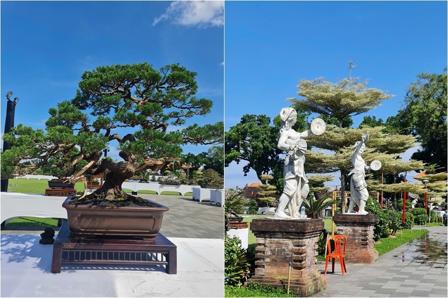 Việt Nam tham dự Hội nghị Bonsai và Suiseki châu Á - Thái Bình Dương lần thứ 17 tại Indonesia