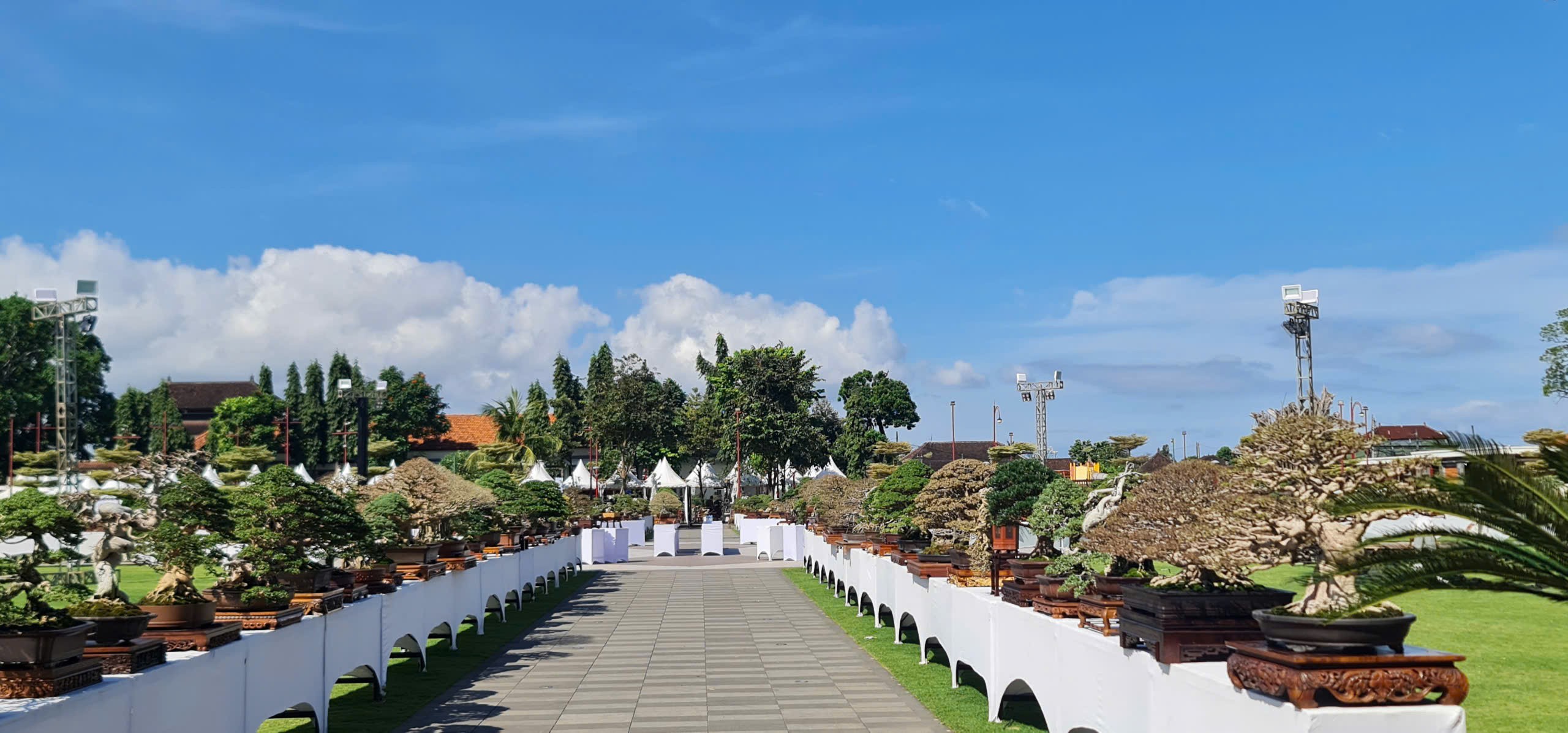 Việt Nam tham dự Hội nghị Bonsai và Suiseki châu Á - Thái Bình Dương lần thứ 17 tại Indonesia