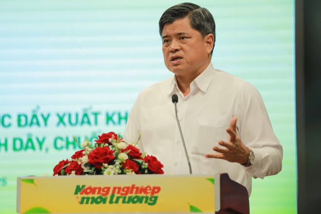 Bốn loại trái cây Việt vào đường đua tỷ đô, riêng dừa được dự báo dẫn đầu với 30.000 tỷ đồng
