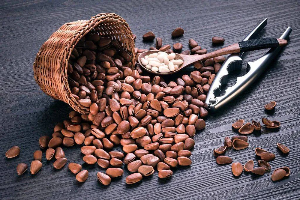Loại hạt đắt đỏ có giá lên tới 1 triệu đồng/1kg,  đang bị lãng quên giữa đại ngàn Việt Nam