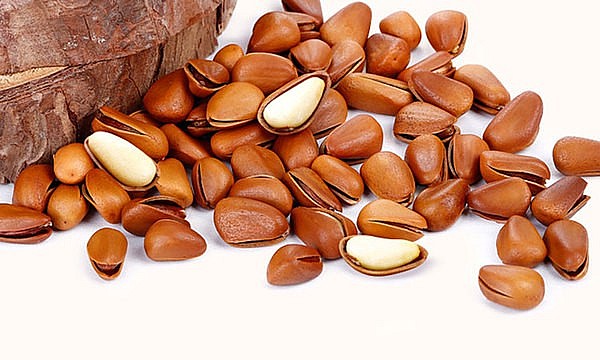 Loại hạt đắt đỏ có giá lên tới 1 triệu đồng/1kg,  đang bị lãng quên giữa đại ngàn Việt Nam