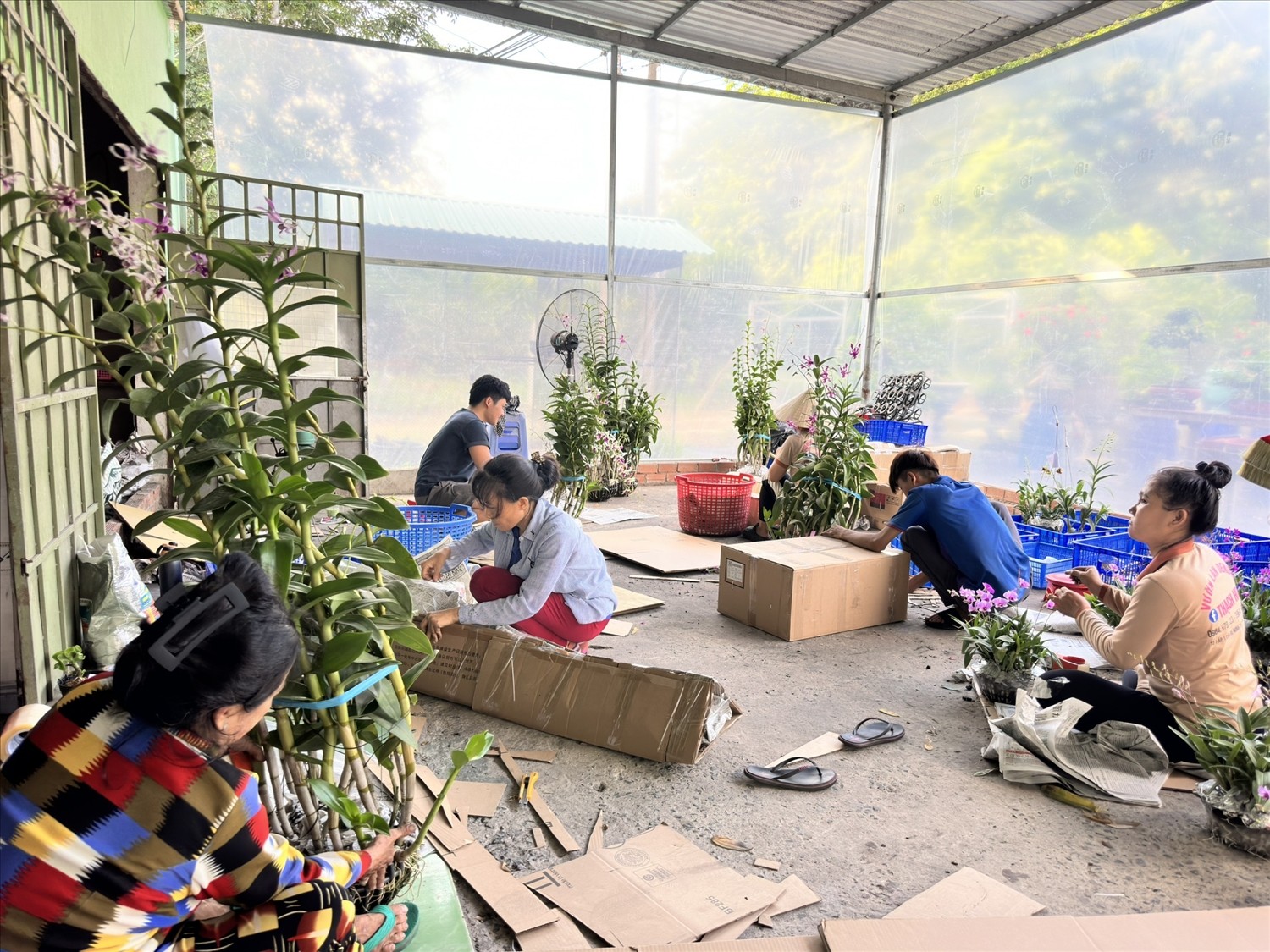 Người phụ nữ Khmer “thổi hồn” dòng lan 