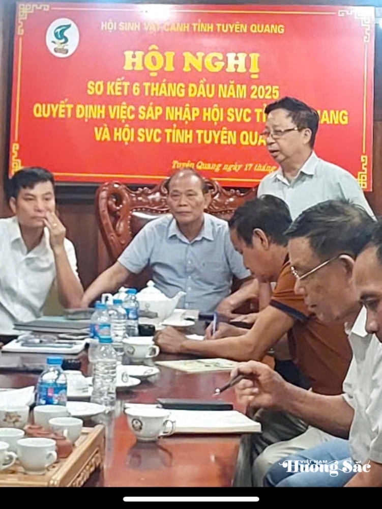 Hội SVC Tuyên Quang: Sáp Nhập – Đổi Mới và Phát Triển