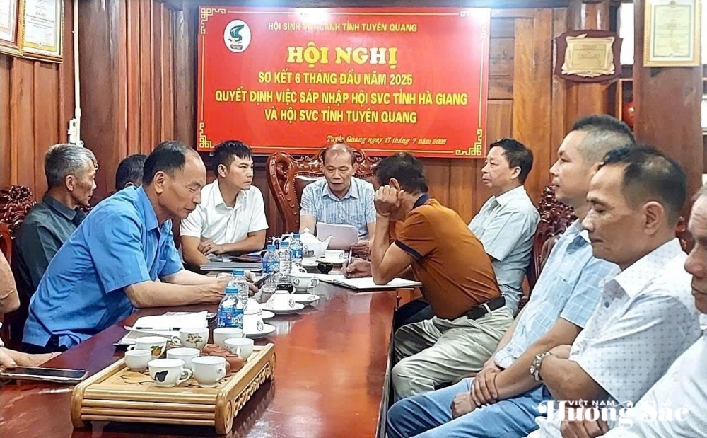Hội SVC Tuyên Quang: Sáp Nhập – Đổi Mới và Phát Triển