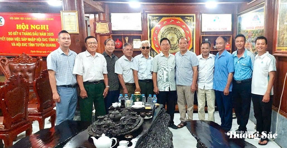 Hội SVC Tuyên Quang: Sáp Nhập – Đổi Mới và Phát Triển