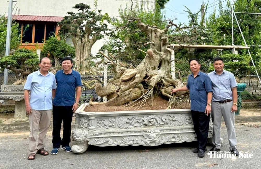 Hội SVC Tuyên Quang: Sáp Nhập – Đổi Mới và Phát Triển