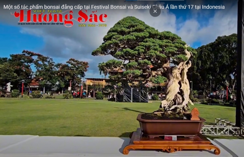 Chiêm ngưỡng những tác phẩm bonsai đẳng cấp tại Hội nghị Bonsai và Suiseki Châu Á lần thứ 17