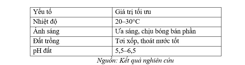 Mai Chiếu Thủy: Từ tinh hoa nghệ thuật bonsai đến tiềm năng kinh tế bền vững