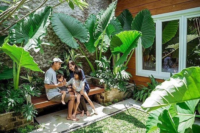 Lá đẹp như vẽ, sống khỏe như voi: Loại cây để trồng từ resort đến phòng khách đều hợp phong thủy