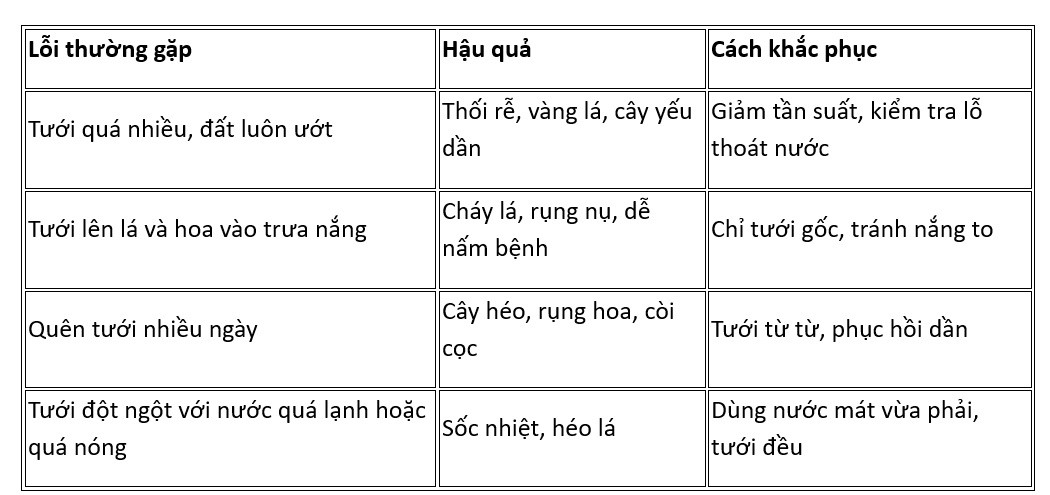 Cách tưới cây dâm bụt đúng kỹ thuật: Đủ nước, hoa nở tưng bừng