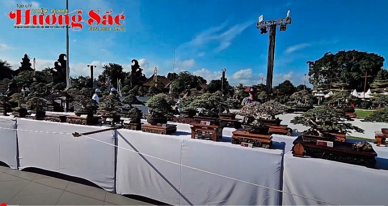 Những tác phẩm bonsai đẳng cấp thế giới của nghệ nhân Indonesia tại ASPAC 2025