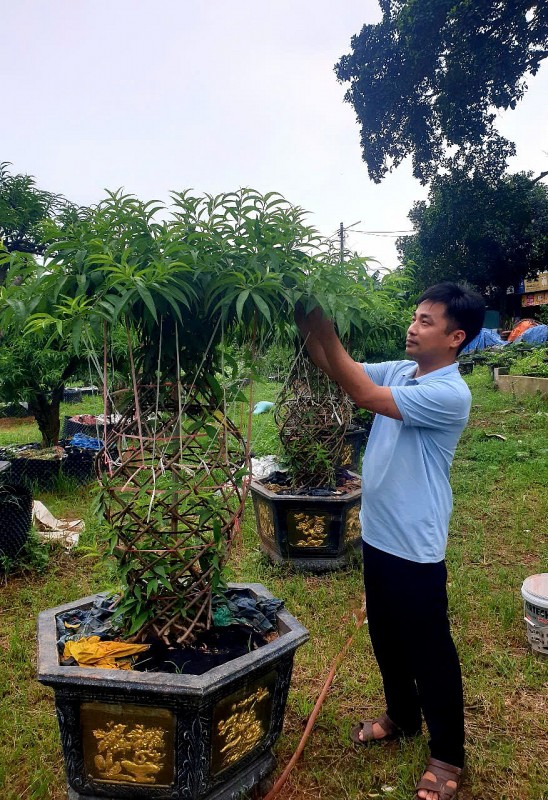 Chuyện người trẻ kiến tạo vườn đào độc đáo giữa lòng thành phố công nghiệp