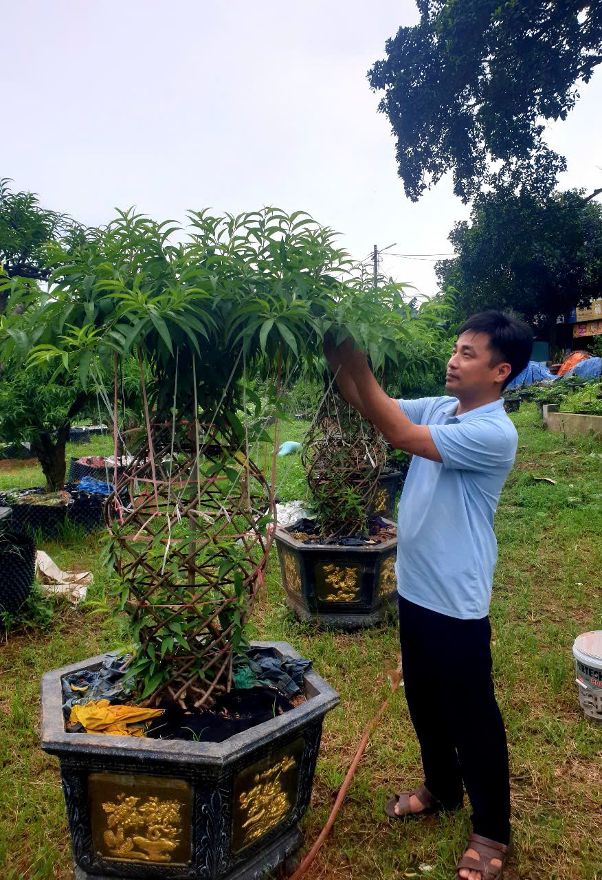 Chuyện người trẻ kiến tạo vườn đào độc đáo giữa lòng thành phố công nghiệp