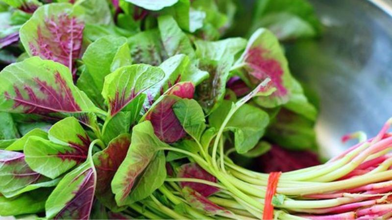 Loại rau tháng 7 vừa rẻ vừa bổ, giàu dưỡng chất gấp chục lần trái cây