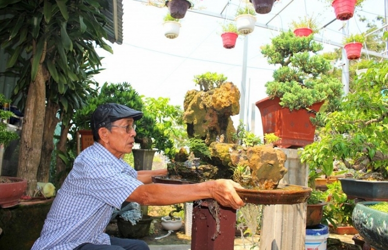 Cựu chiến binh 74 tuổi biến khu vườn nhỏ thành không gian nghệ thuật bonsai