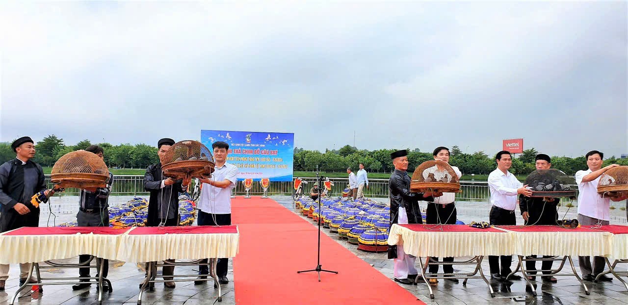 Bắc Ninh phát huy giá trị sinh vật cảnh, hướng tới Festival tầm quốc gia