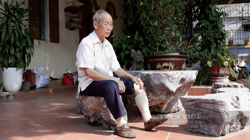 Khi cựu chiến binh biến ký ức chiến trường thành nghệ thuật cây cảnh, non bộ