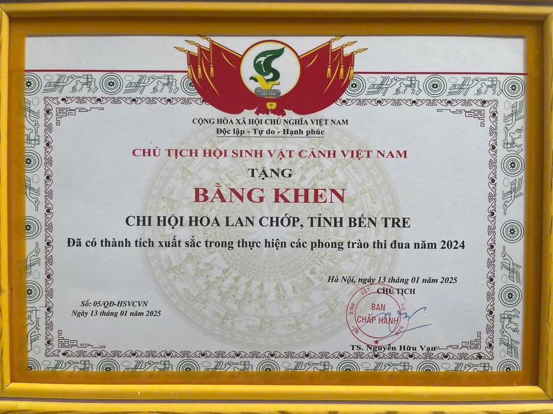Sắc hương Bến Tre: Hội thi Hoa Phong Lan chào mừng 2 năm thành lập Chi hội Hoa lan Chớp