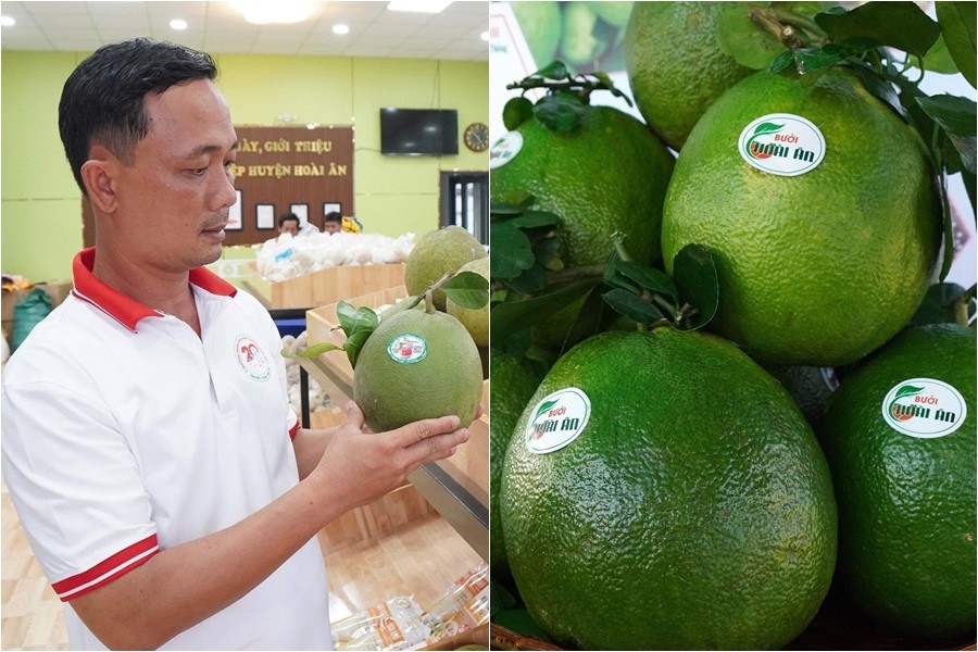 Gắn mã QR lên nông sản, khách quét là ra thông tin, nông dân ngồi nhà vẫn chốt đơn đều