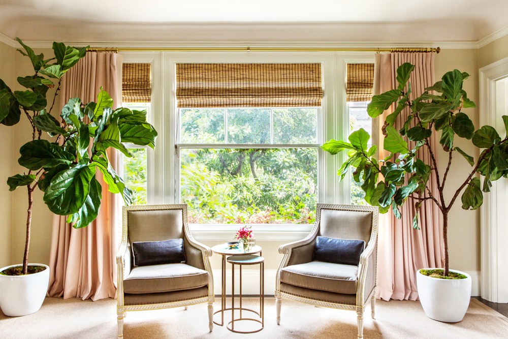 Người xưa dạy: Cây hợp thế, đặt thuận phương - vận hanh thông, phúc lộc đủ đầy