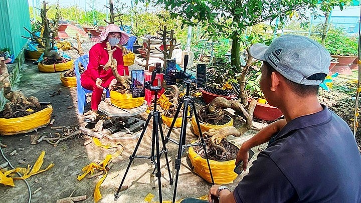 Làng livestream nức tiếng miền Tây: Bán cây chốt đơn tiền triệu mỗi ngày