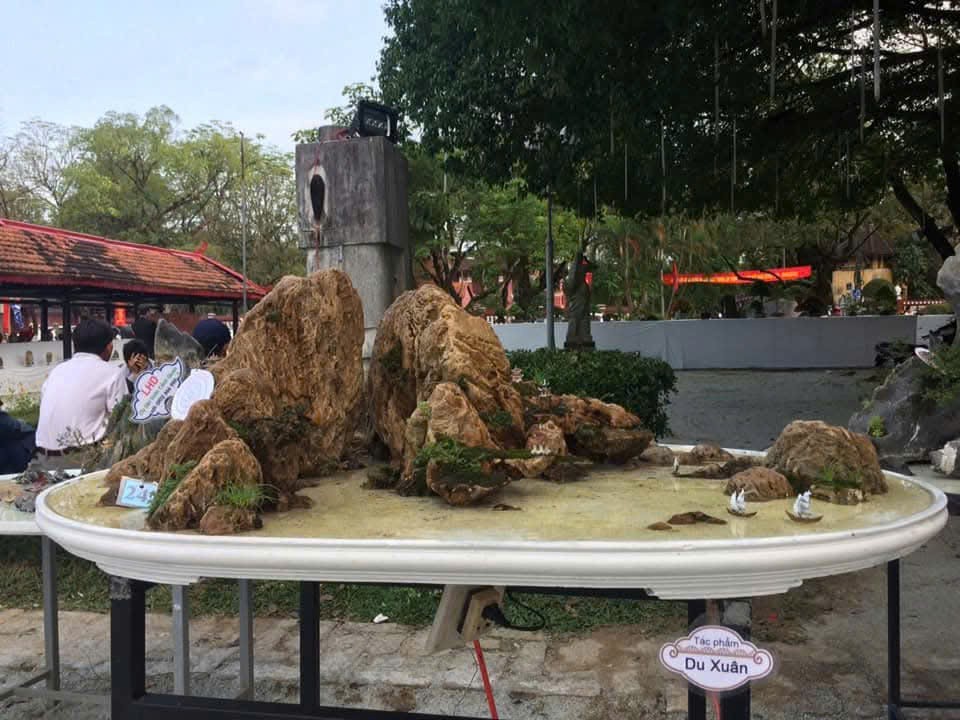 Khi vườn nhà trở thành không gian nghệ thuật – Thông điệp từ một người con đất Huế