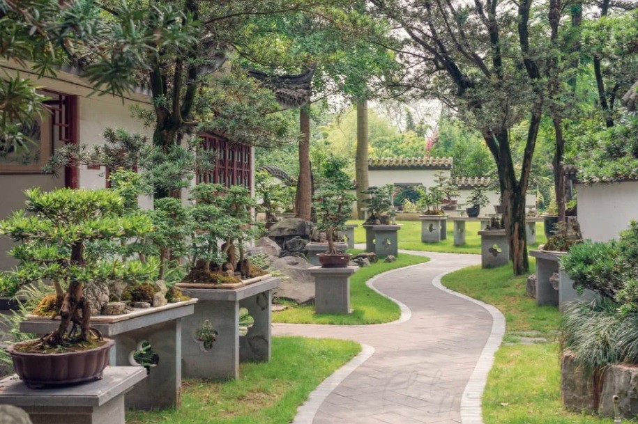 Khám phá vườn bonsai truyền thống giữa lòng đô thị hiện đại ở Trung Quốc
