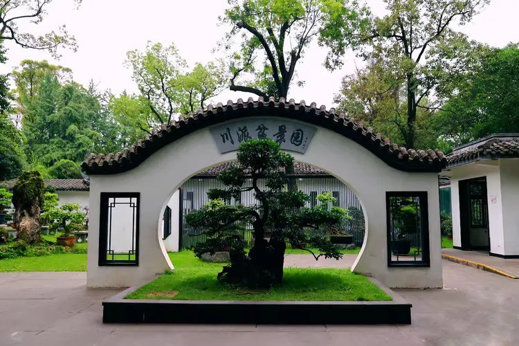 Khám phá khu bonsai truyền thống giữa lòng đô thị hiện đại ở Trung Quốc