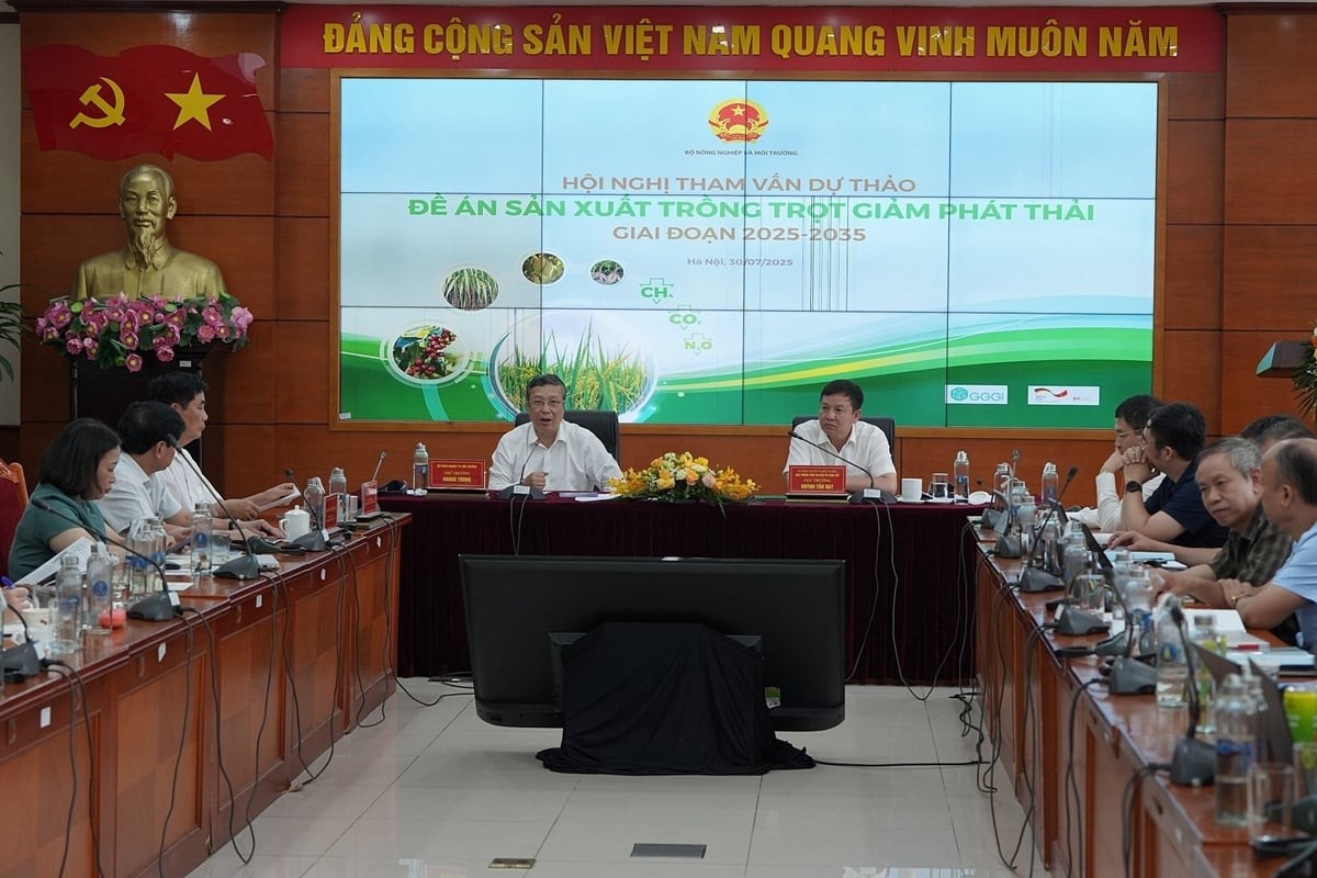 Phát triển nông nghiệp phát thải thấp: Từ hành động ngành trồng trọt đến tầm nhìn quốc gia