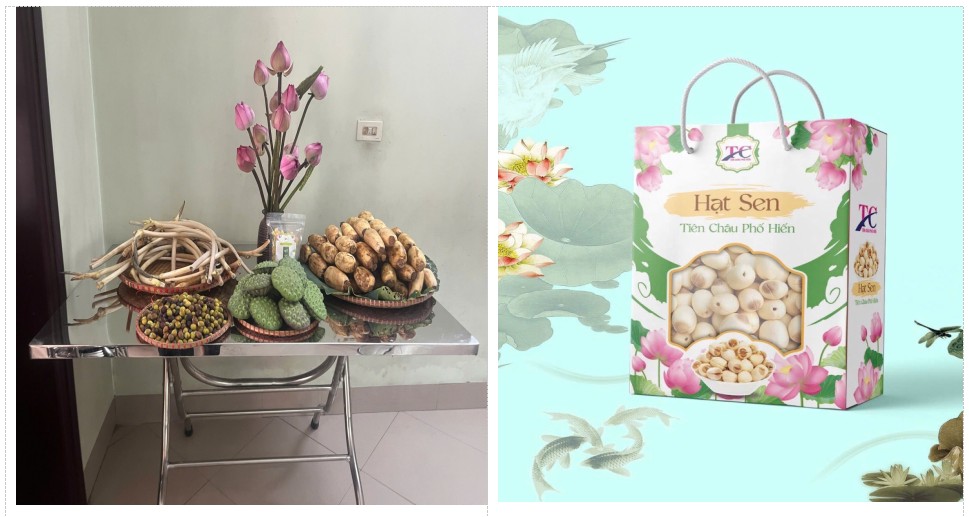 Ứng dụng công nghệ xây dựng chuỗi giá trị sen Phố Hiến gắn với du lịch tại Hưng Yên