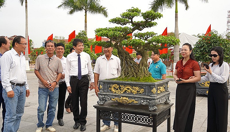 Hội Sinh vật cảnh Quảng Trị: Bước ngoặt sau sáp nhập hành chính
