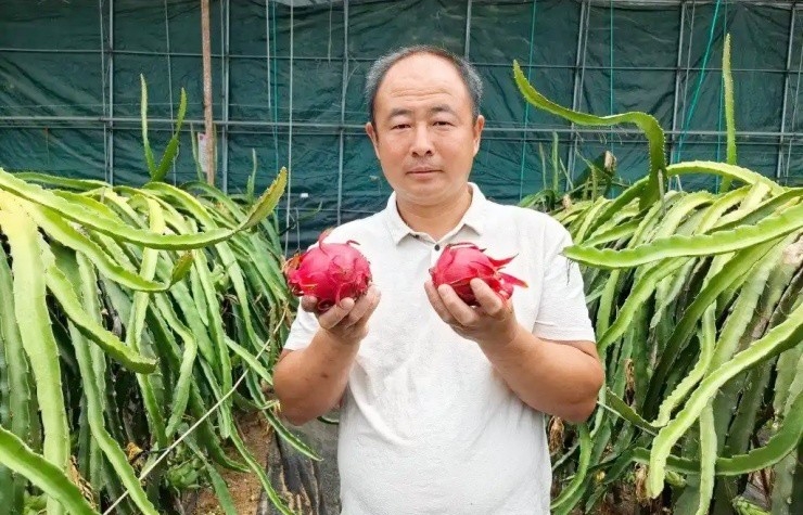 Từ người gom ve chai đến “vua trái cây”: Người đàn ông đổi đời nhờ khu vườn sai quả quanh năm