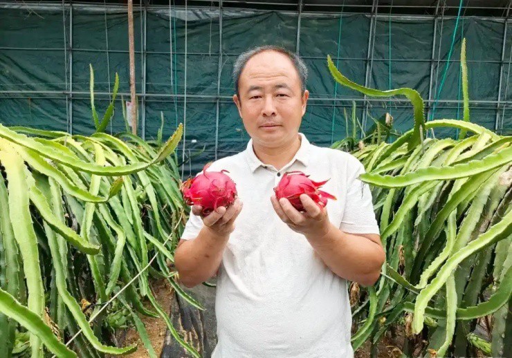 Từ người gom ve chai đến “vua trái cây”: Người đàn ông đổi đời nhờ khu vườn sai quả quanh năm