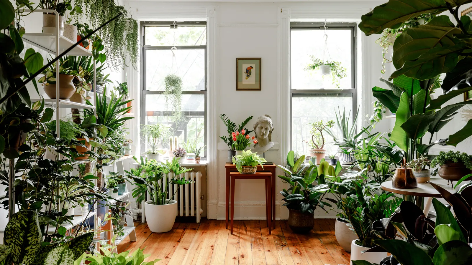 Cách tưới cây trồng trong nhà đẹp: Bí kíp giúp cây sống khỏe, quanh năm xanh tốt Cách tưới cây trồng trong nhà đẹp: Bí kíp giúp cây sống khỏe, quanh năm xanh tốt