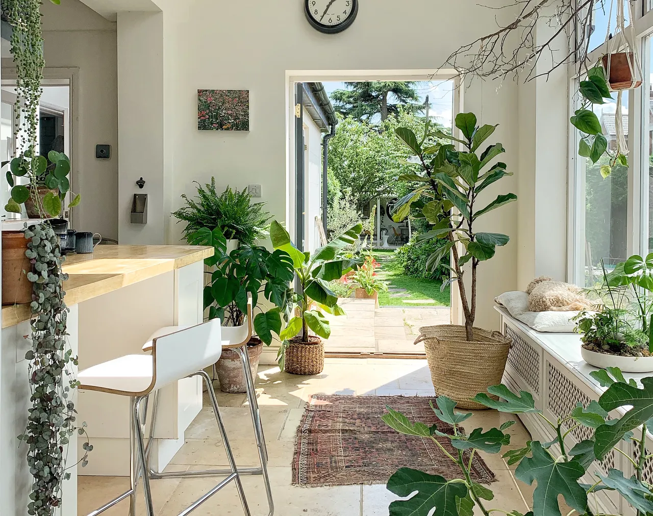 Cách tưới cây trồng trong nhà đẹp: Bí kíp giúp cây sống khỏe, quanh năm xanh tốt Cách tưới cây trồng trong nhà đẹp: Bí kíp giúp cây sống khỏe, quanh năm xanh tốt