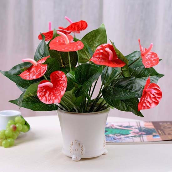 Cổ nhân gợi ý cho người mệnh Hỏa trồng cây để tài lộc không ngừng gõ cửa