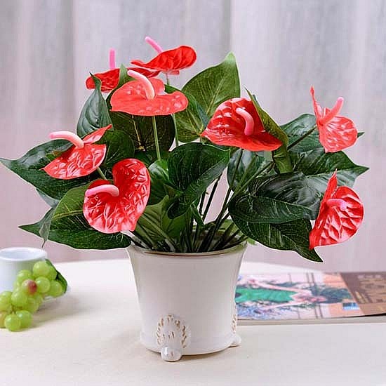 Cổ nhân gợi ý cho người mệnh Hỏa trồng cây để tài lộc không ngừng gõ cửa