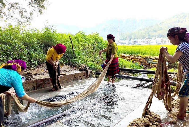 Từ nương lanh đến tấm vải mềm: Bí mật nghề dệt của phụ nữ dân tộc Mông ở Tuyên Quang