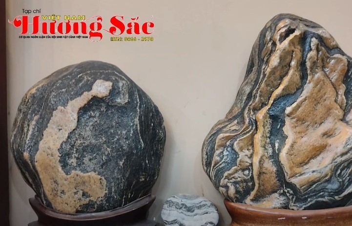 Khám phá bộ sưu tập đá cảnh quý hiếm của anh Nguyễn Anh Việt tại Đà Nẵng