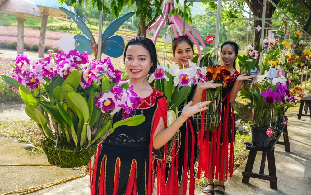 Sôi động ngày hội hợp nhất Hội Sinh vật cảnh Ninh Thuận - Khánh Hòa cùng hội thi hoa lan đẳng cấp