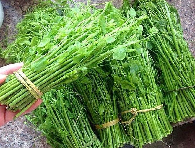 Rau dớn, bò khai, sắn chua:  Loại rau rừng đặc sản được dân thành thị săn lùng
