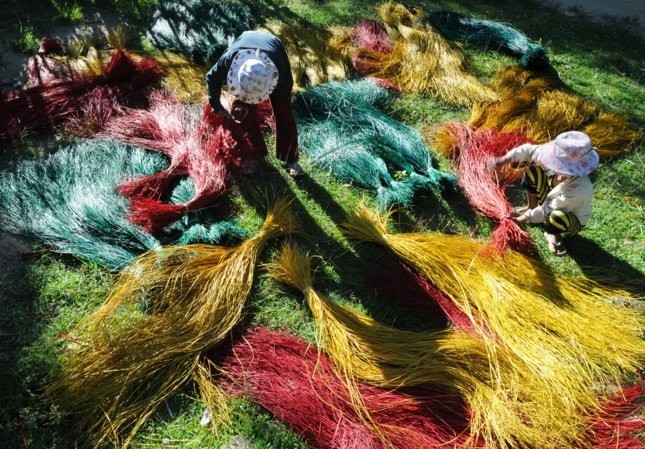 Làng cói Kim Sơn - nghề truyền thống hòa cùng nhịp xuất khẩu toàn cầu